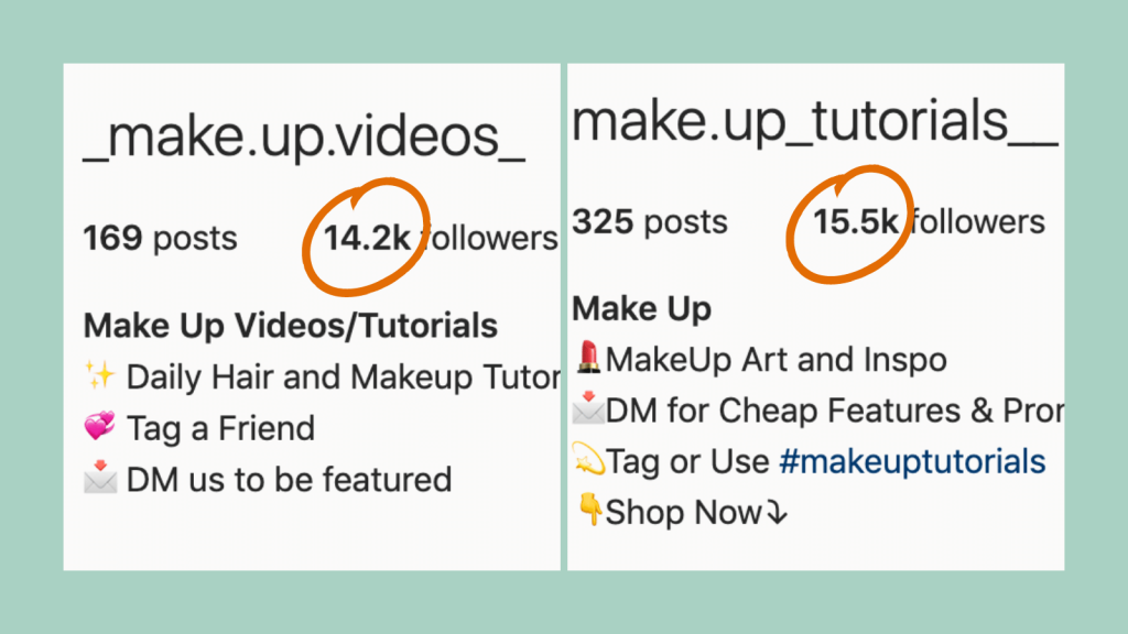 Example of two Instagram accounts with similar follower numbers in the same niche that might want to do a shoutout. 